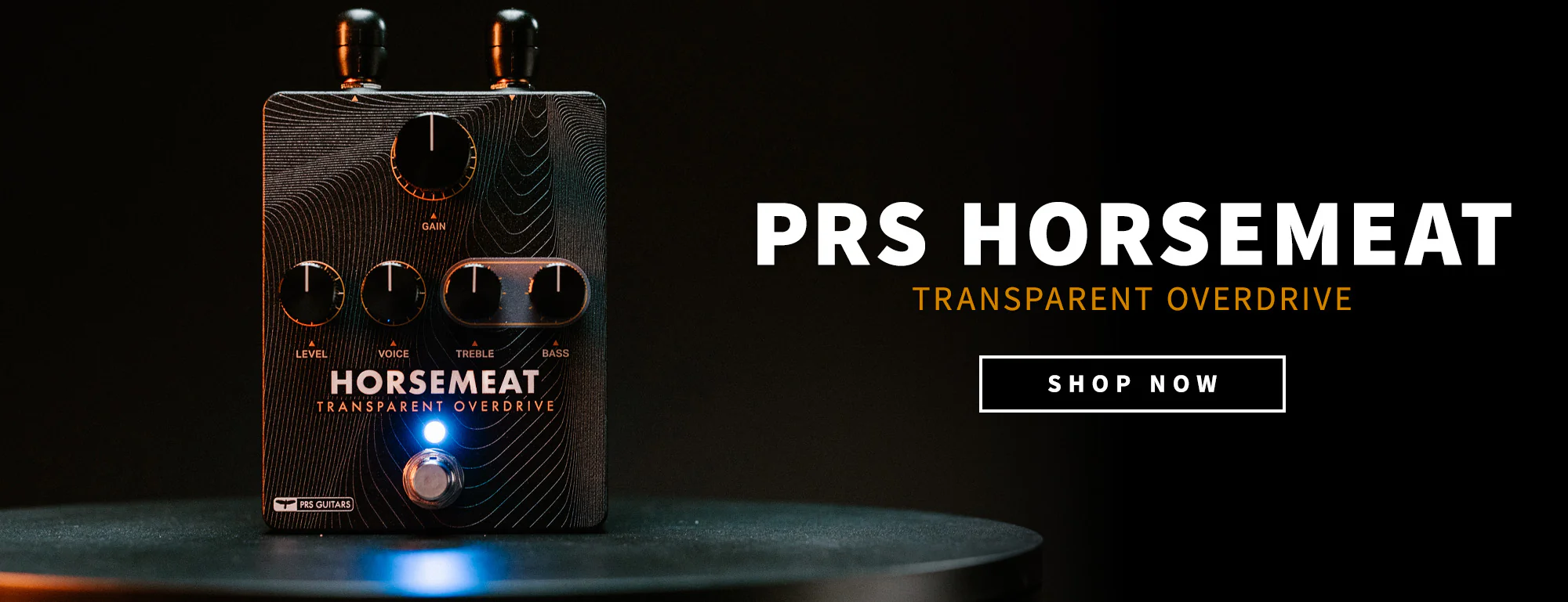 Elevate Your PRS Playing Experience