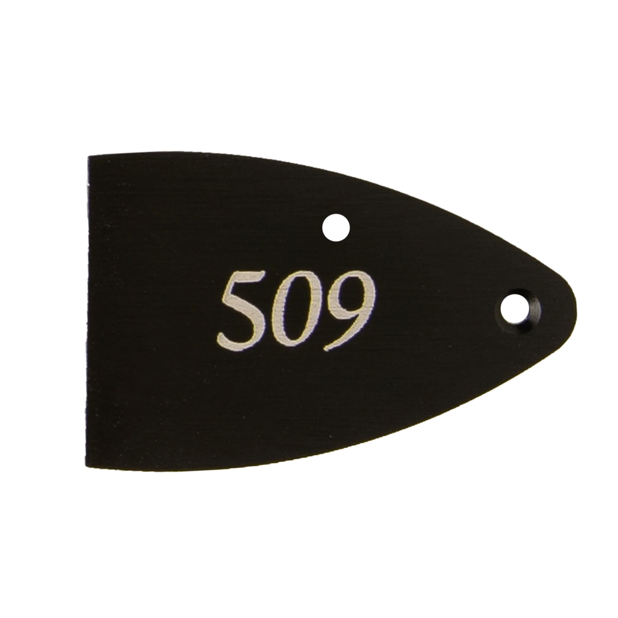 Core, Black Anodized Aluminum, Etched Truss Rod Cover - Image 3